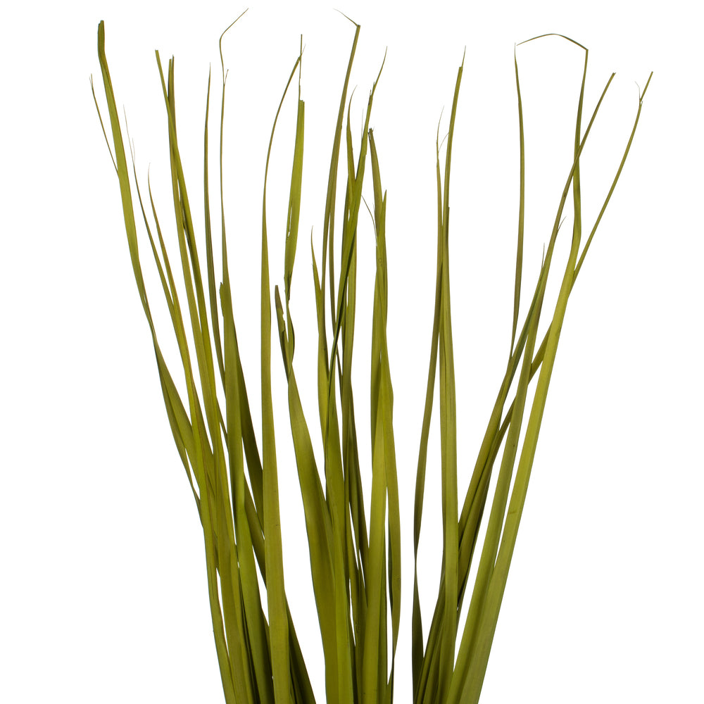 Vickerman 36-40" Basil Rush Grass 7 oz Bundle Dried