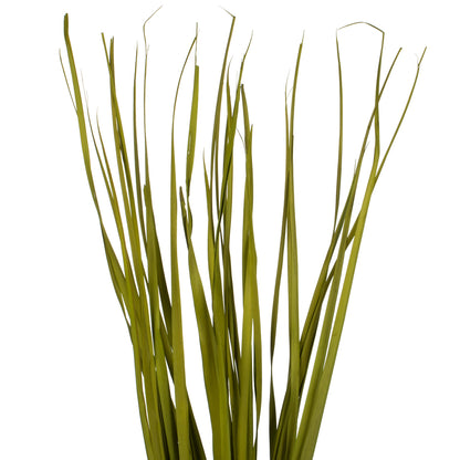 Vickerman 36-40" Basil Rush Grass 7 oz Bundle Dried