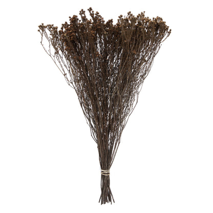 Vickerman Natural Botanicals 19" x 4" Staavia 100 grams per Unit