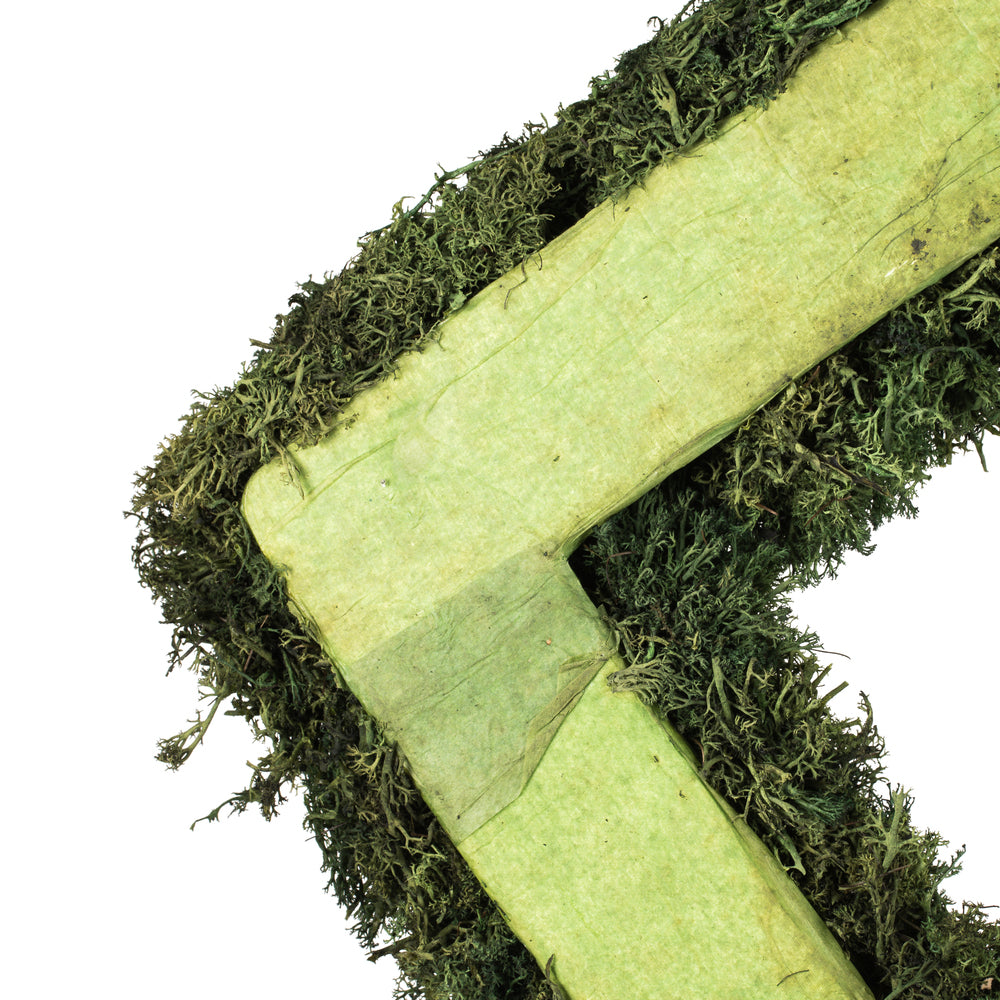 Vickerman 15 .5" Artificial Reindeer Moss Square Wreath.