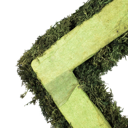Vickerman 15 .5" Artificial Reindeer Moss Square Wreath.
