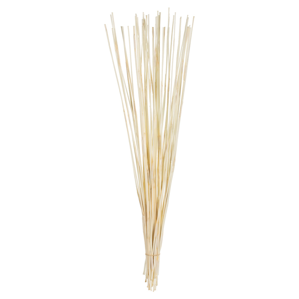 Vickerman 40" Bleached Elephant Reed 10 oz Bundle Dried
