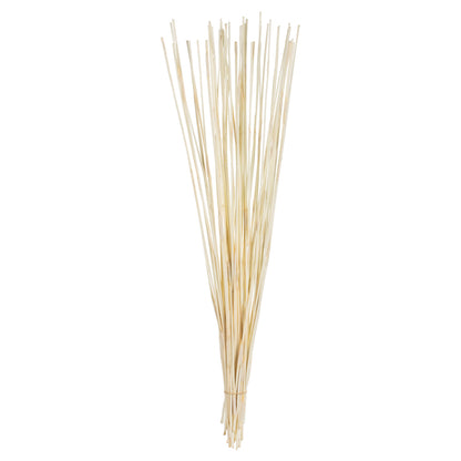 Vickerman 40" Bleached Elephant Reed 10 oz Bundle Dried