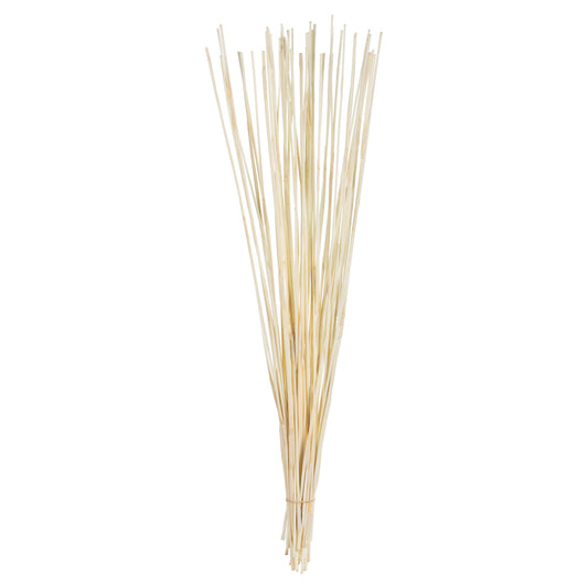 Vickerman 40" Bleached Elephant Reed 10 oz Bundle Dried