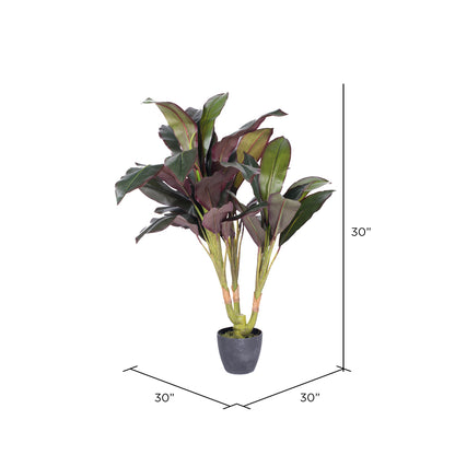 Vickerman 30" Artificial Real Touch Dracaena.