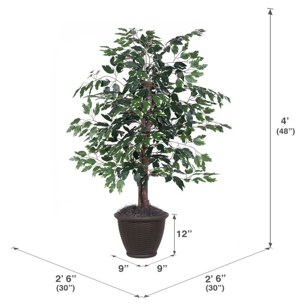 Vickerman 4' Artificial Variegated Ficus Bush Brown Plastic Container.