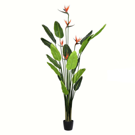 Vickerman 6' Artificial Potted Bird of Paradise Palm Tree.