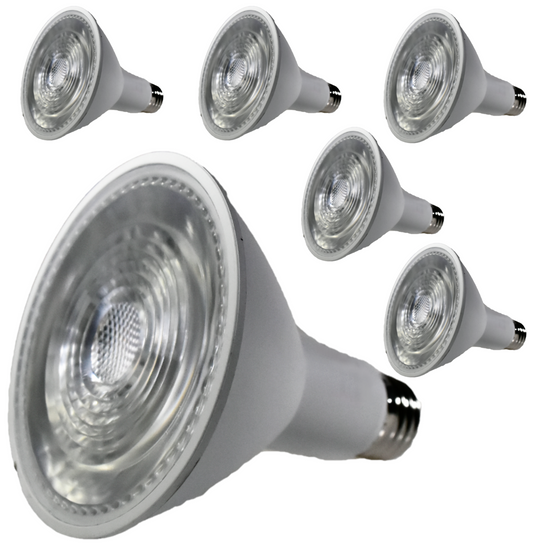 Damar PAR30 LED Long Neck Flood Light Bulb 10W 800 Lumen E26 Medium Base 3000K Soft White Ideal for Track & Recessed Spot Light Bulbs 120V 25° Beam Angle Brushed Aluminum Finish Pack of 6