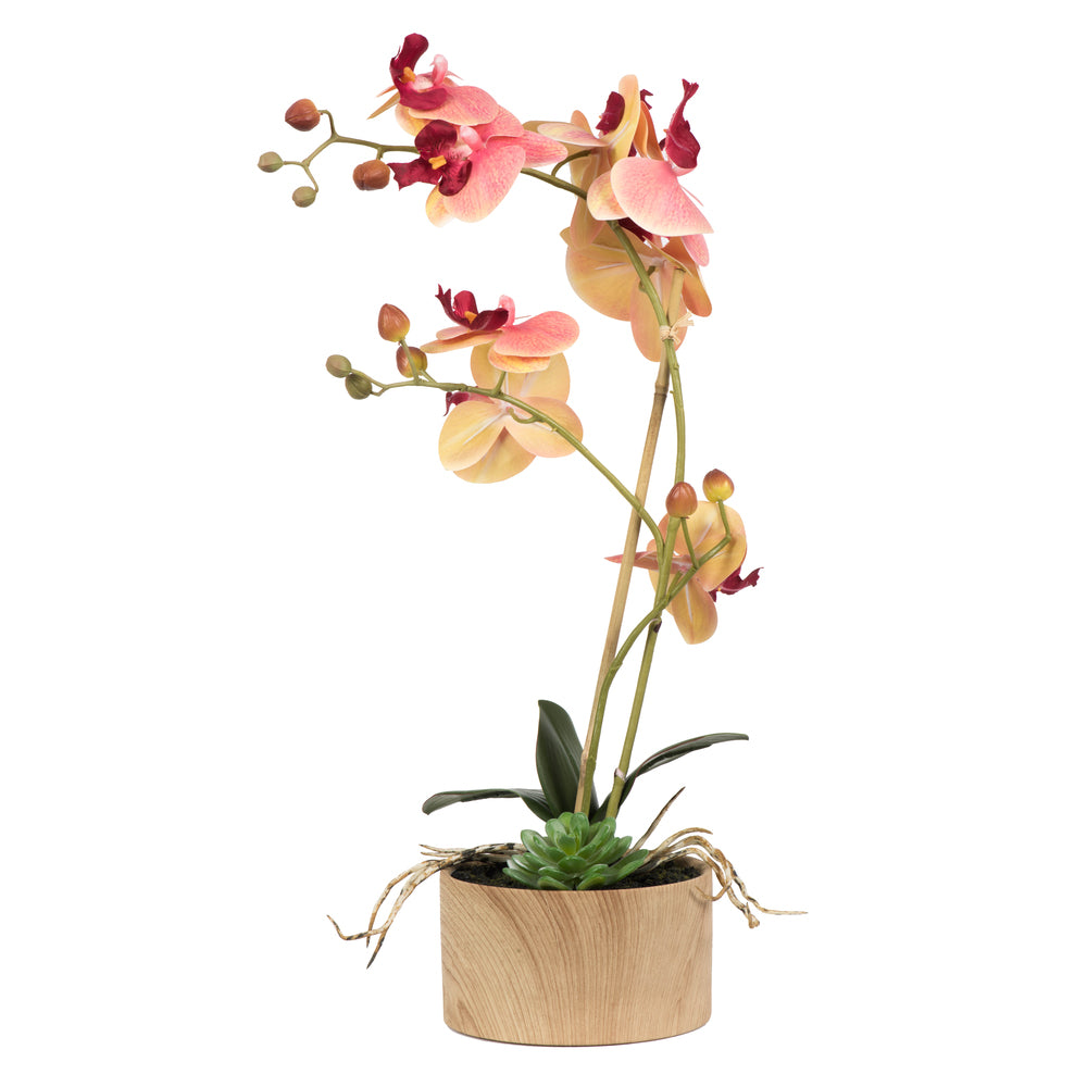 Vickerman Artificial 18" Pink and Orange Phalaenopsis Orchid and Succulent Arrangement.