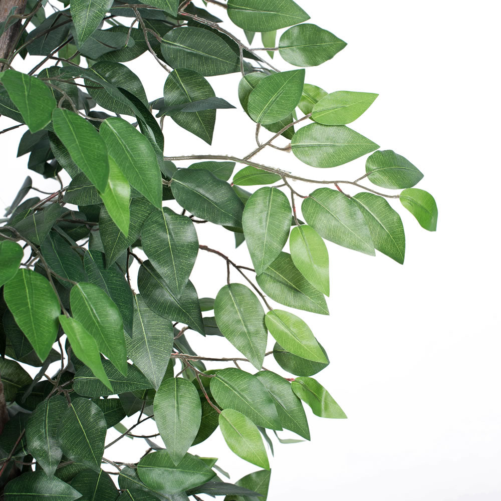 Vickerman 6' Artificial Ficus Deluxe Rattan Basket.