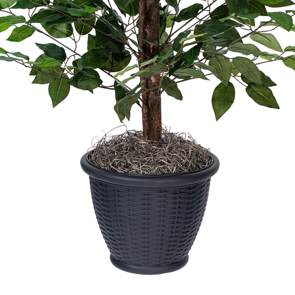 Vickerman 4' Artificial Ficus Bush Round Gray Plastic Container.