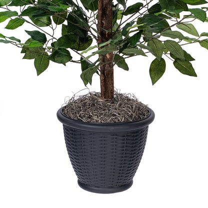 Vickerman 4' Artificial Ficus Bush Round Gray Plastic Container.