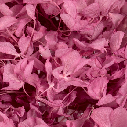 Vickerman 15" Brombeer Hydrangea with Multiple Branch Segments Preserved