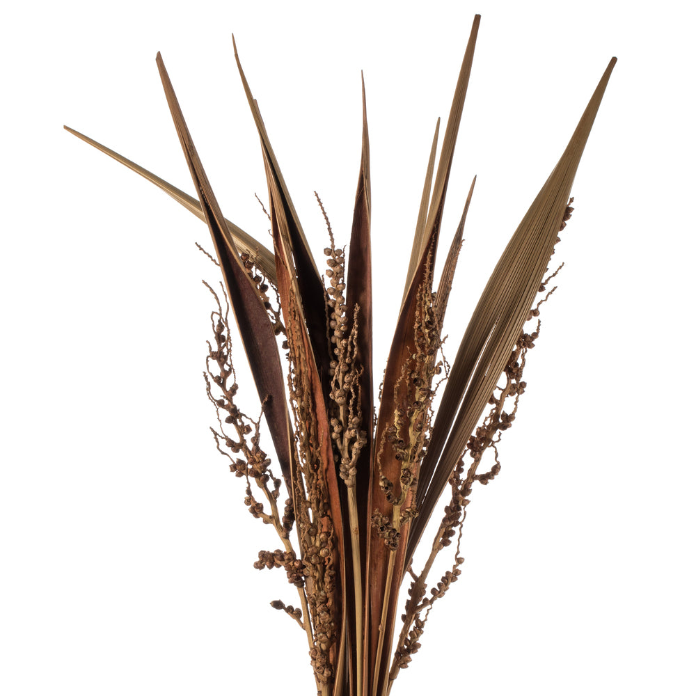 Vickerman Bahia Spears
