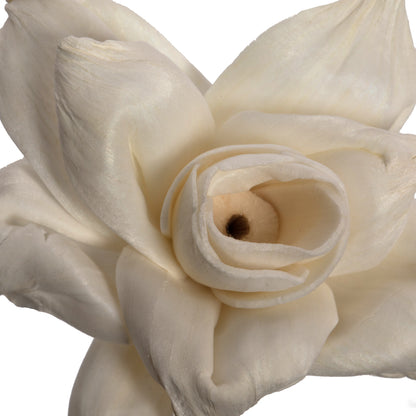 Vickerman Natural Botanicals 1.6"/2.4"/3.2" 1-3" Assorted Jonquil Sola Head 24 flowers/polybag.