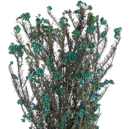 Vickerman 16" Blue Rice Flower. Comes in a 4.25 oz Bundle. Preserved