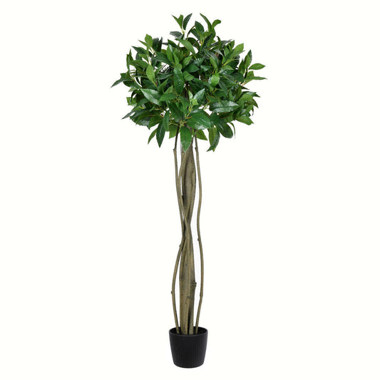 Vickerman 4'  Artificial Potted Bay Leaf Topiary