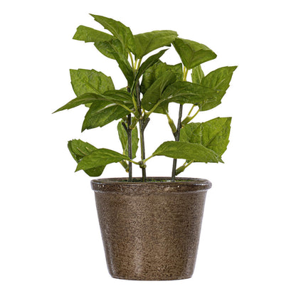 Vickerman 7" Artificial Green Potted Plant Assortment Set of 3