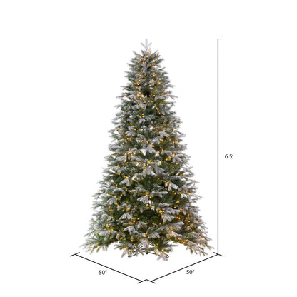 Vickerman 6.5' x 50" Frosted Douglas Fir Artificial Pre-Lit Christmas Tree Warm White 3mm LED Lights.