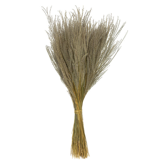Vickerman 14-20" Natural Snowdrop Grass 3 pack Dried
