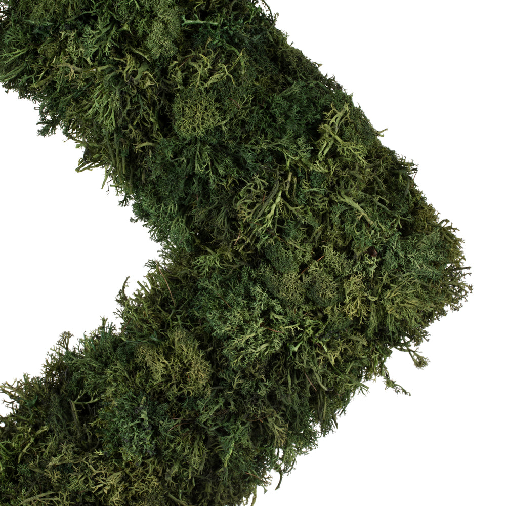 Vickerman 15 .5" Artificial Reindeer Moss Square Wreath.