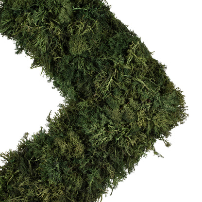 Vickerman 15 .5" Artificial Reindeer Moss Square Wreath.