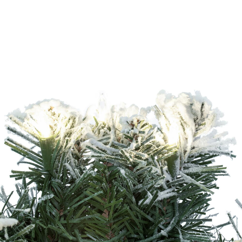 Vickerman 30" Frosted Glacier Pine Artificial Pre-Lit Wreath with 200 Realistic Frosted Mixed PVC Tips and 70 Dura-Lit® Warm White Mini Lights,