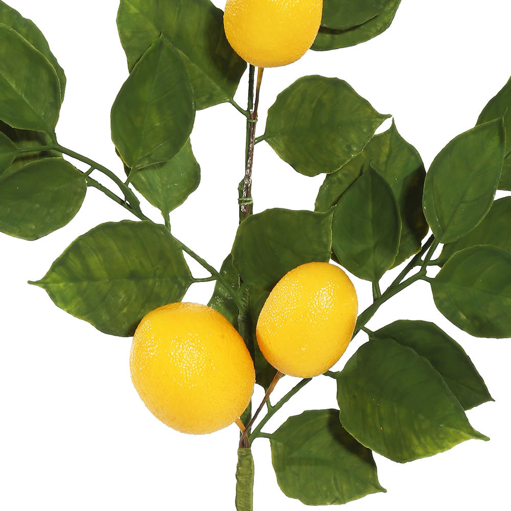 Vickerman 6' Artificial Green and Yellow Salal Leaf Lemon Garland.