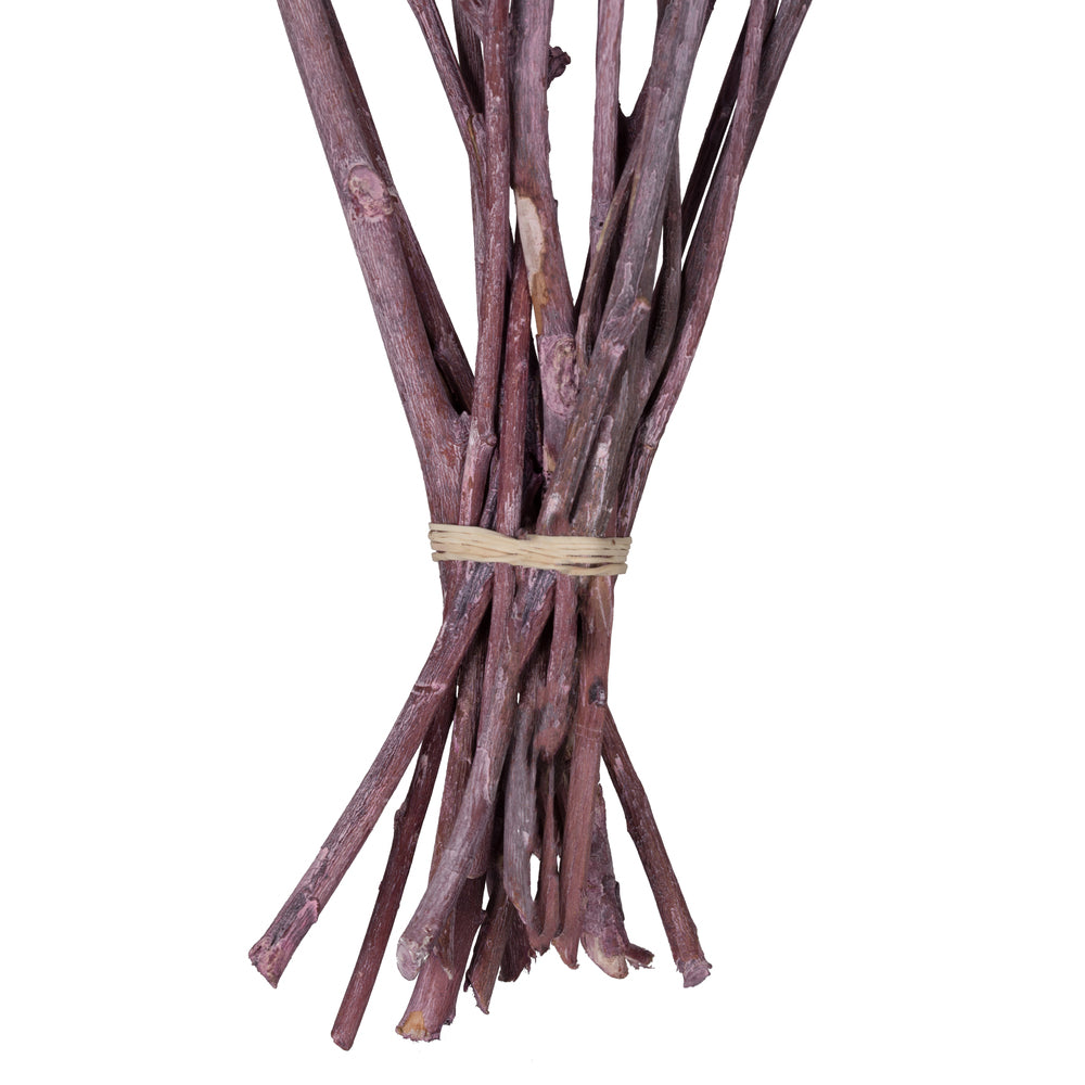 Vickerman Natural Botanicals 13" x 1-3" Red Gum Branch Brombeer Frosted 14 stems per unit