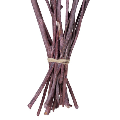 Vickerman Natural Botanicals 13" x 1-3" Red Gum Branch Brombeer Frosted 14 stems per unit