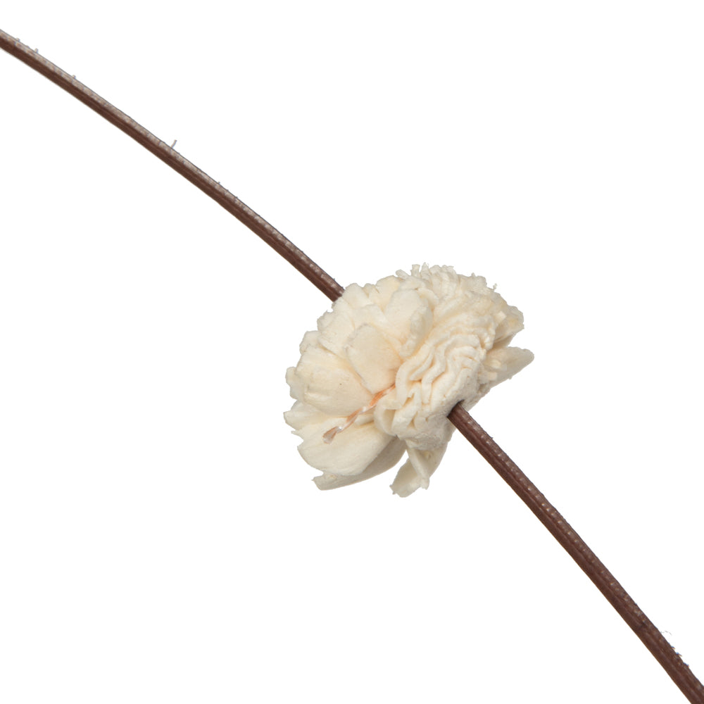 Vickerman Natural Botanicals 40" Brown Coco with Natural Dried Sola Zinnia- 24 sticks/polybag.