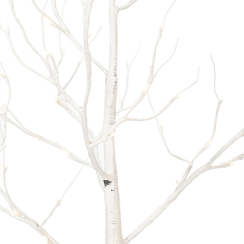Vickerman 6' White Birch Twig Tree Warm White 3mm Wide Angle LED lights.