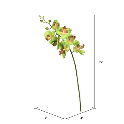 Vickerman 35" Green Real Touch Orchid Artificial Floral Stem