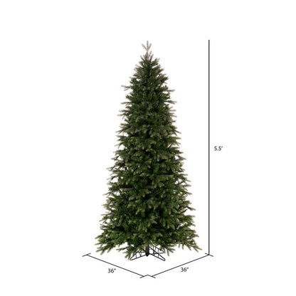 Vickerman 5.5' x 36" Douglas Fir Artificial Slim Unlit Christmas Tree.