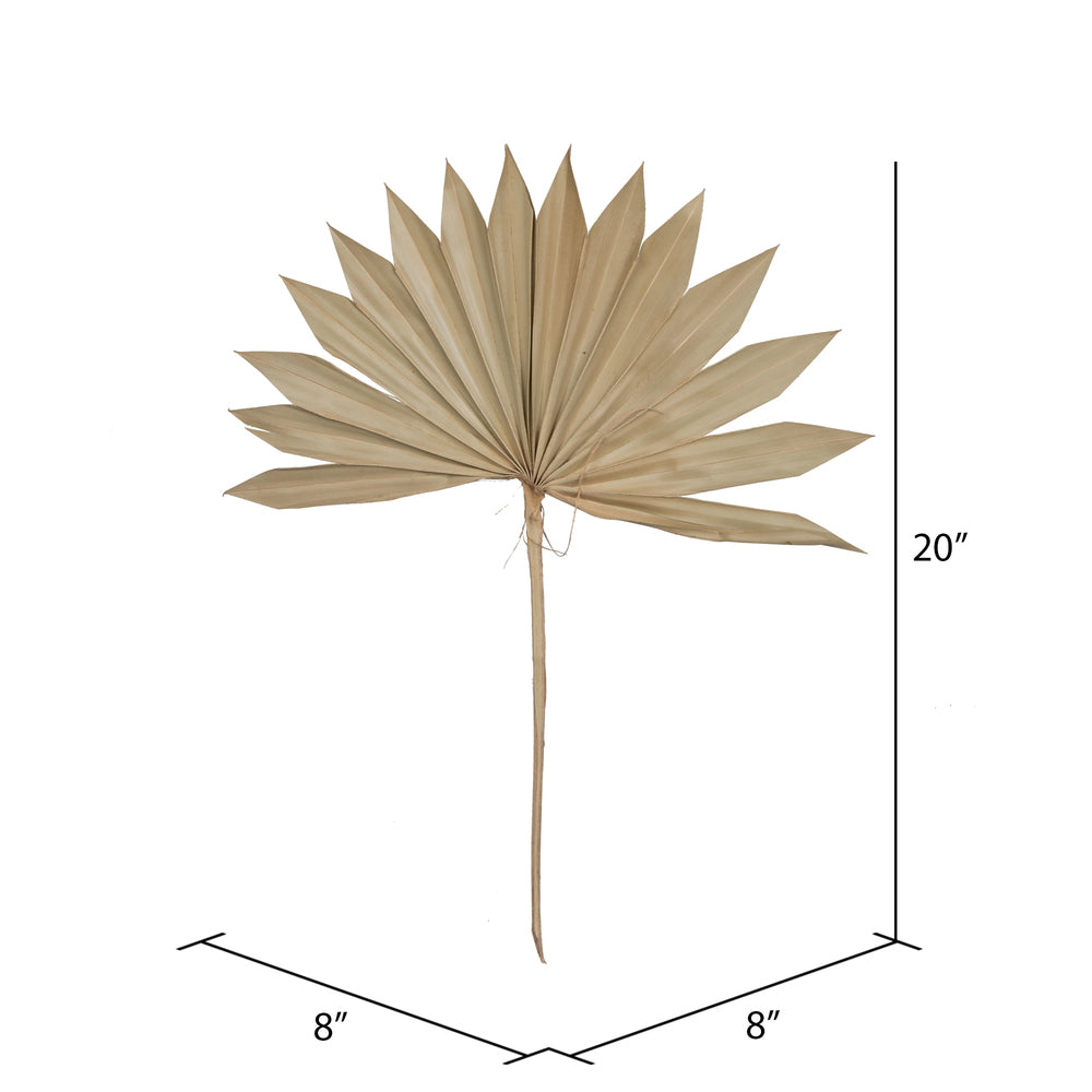Vickerman Natural Botanicals 20" Palm Sun Spear Natural. Includes 50 pieces per Pack.