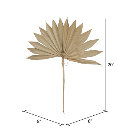 Vickerman Natural Botanicals 20" Palm Sun Spear Natural. Includes 50 pieces per Pack.
