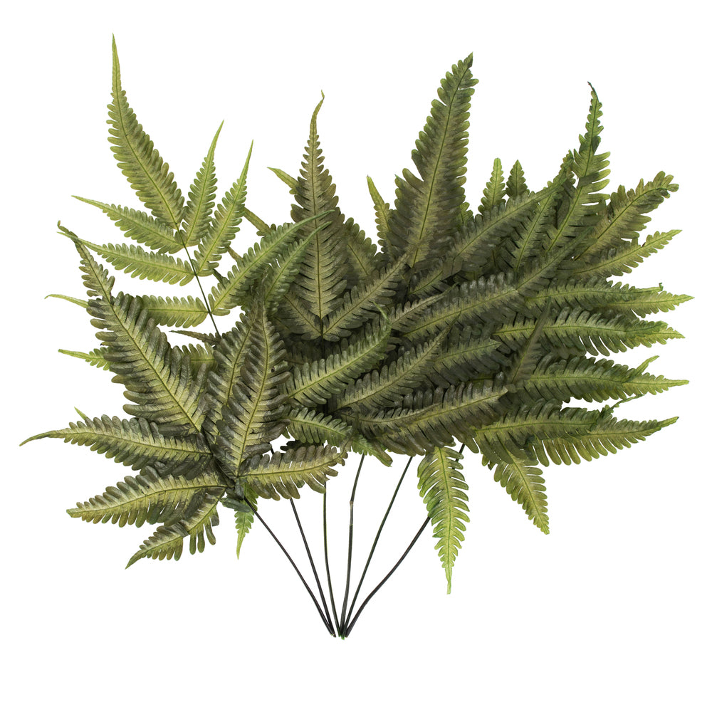 Vickerman 18-20" Basil Fern- Ombre 6 stems Preserved