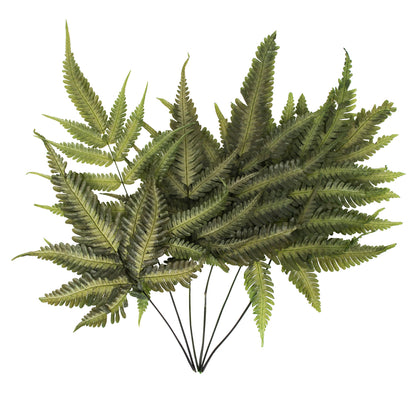 Vickerman 18-20" Basil Fern- Ombre 6 stems Preserved