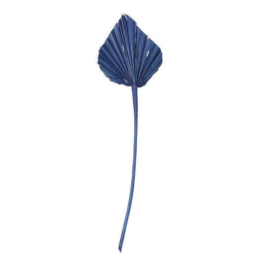 Vickerman Natural Botanicals 15.75 - 19.5" Midnight Blue Dried Palm Spear 12 per bag.