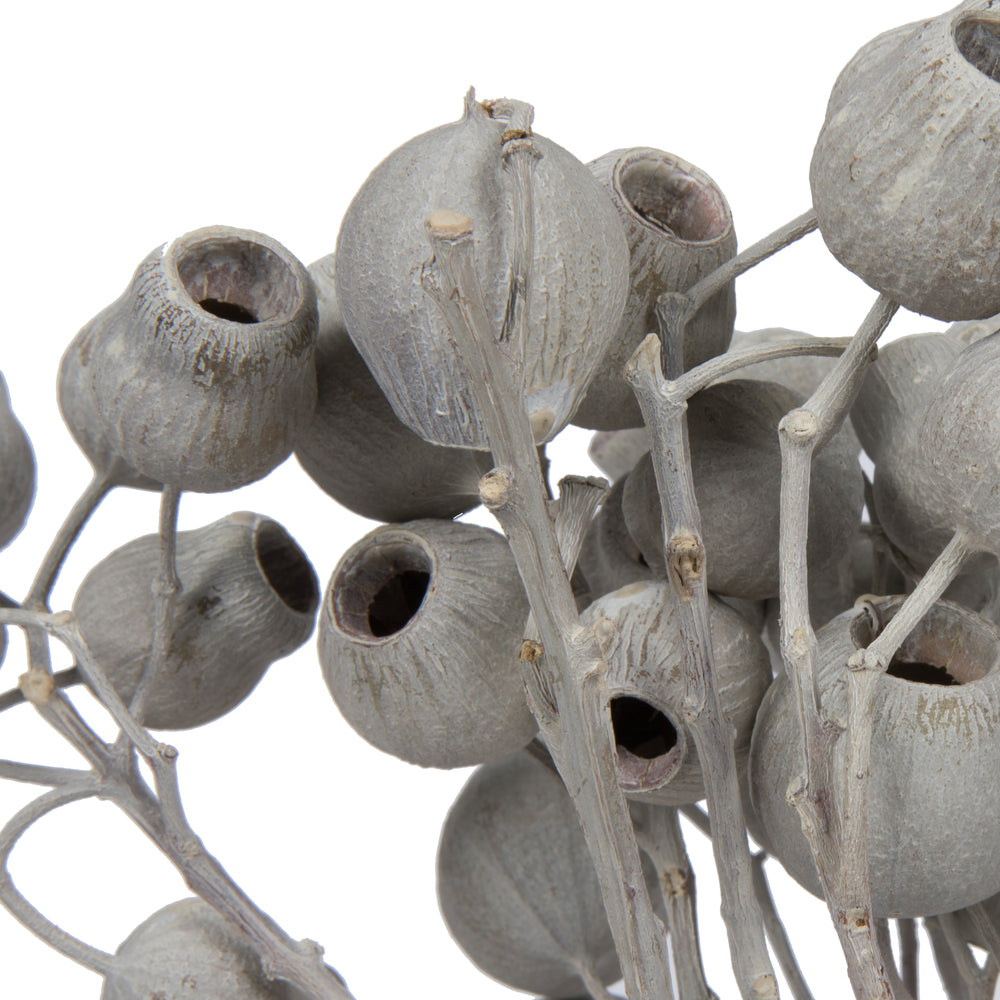 Vickerman Natural Botanicals 11" x 4" Bellgum Branch 5-7 Bells Ivory Frosted 10 stems per unit