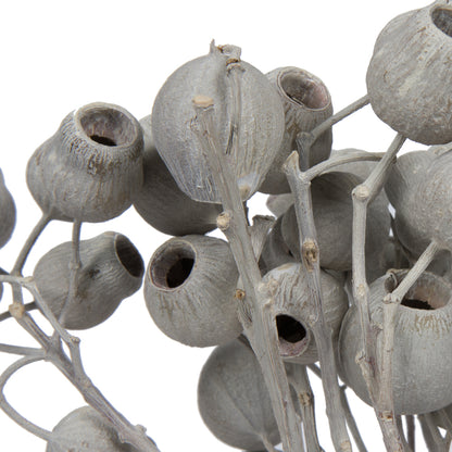 Vickerman Natural Botanicals 11" x 4" Bellgum Branch 5-7 Bells Ivory Frosted 10 stems per unit