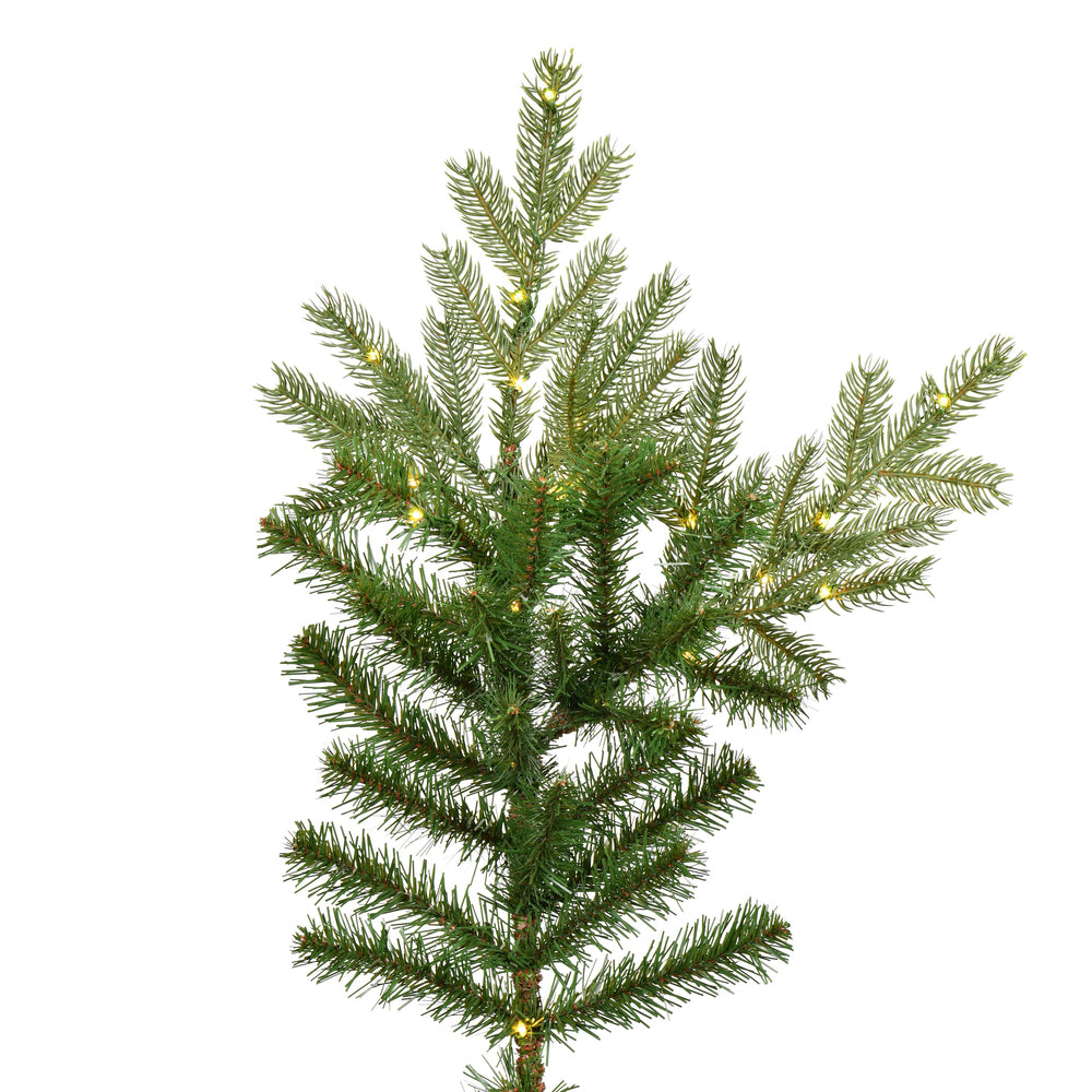 Vickerman 6.5' x 63" Sherwood Fir Tree LED. Features 2216 PE/PVC Tips