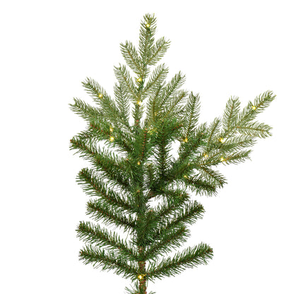 Vickerman 6.5' x 63" Sherwood Fir Tree LED. Features 2216 PE/PVC Tips