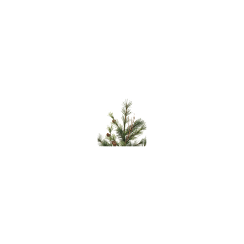 Vickerman 24" Mixed Country Pine Artificial Christmas Spray. Includes 2 sprays per pack.
