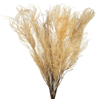 Vickerman 26" Bleached Fern - Andares 4 oz per pack Dried