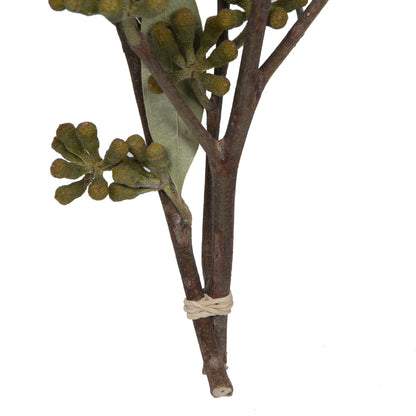 Vickerman Natural Botanicals 15-17" x 8" Natural Amber Fruit Foliage Natural Sulphured