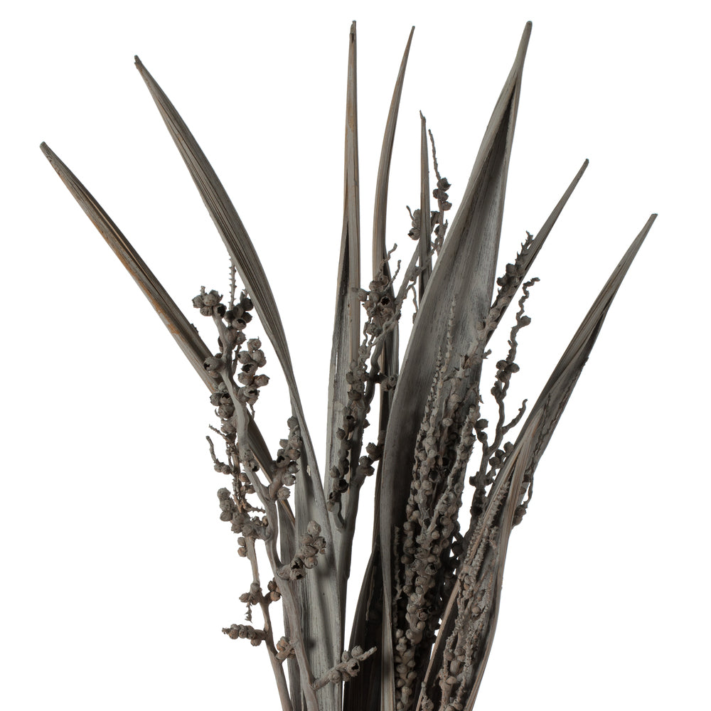 Vickerman 36" Gray Wash Bahia Spears with Seeds 2 pack Dried
