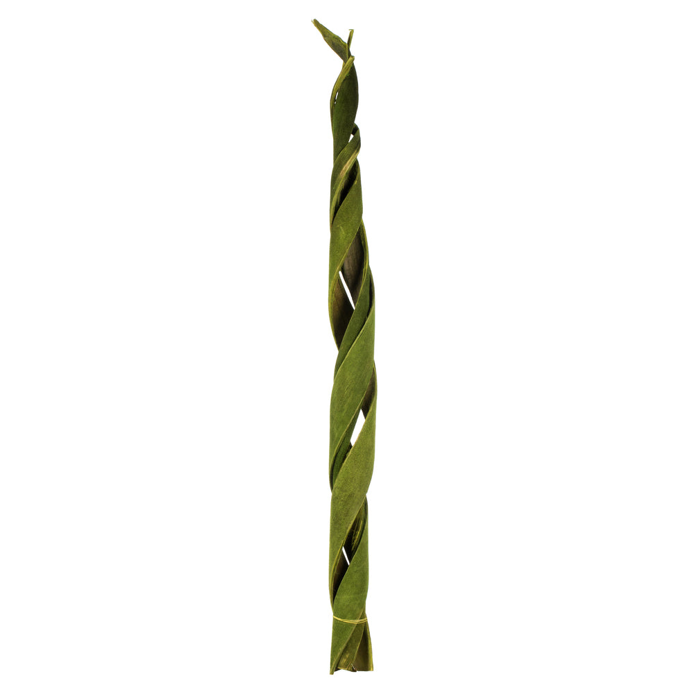 Vickerman 45 - 48" Basil Coco Velvet - Curled 3 stems Dried