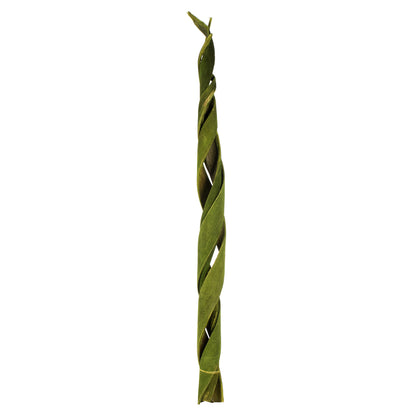 Vickerman 45 - 48" Basil Coco Velvet - Curled 3 stems Dried