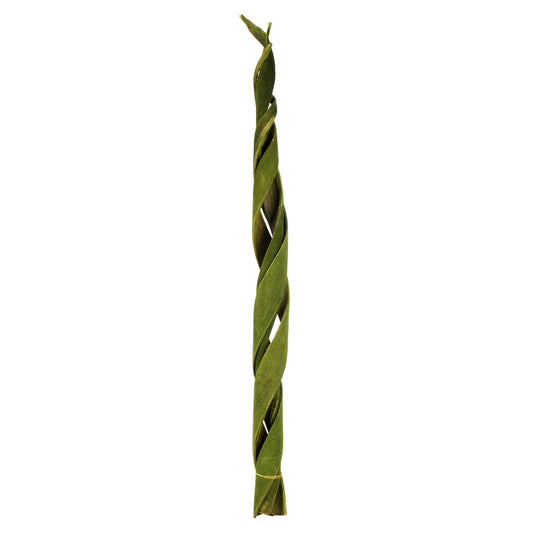 Vickerman 45 - 48" Basil Coco Velvet - Curled 3 stems Dried